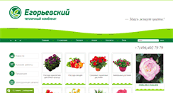 Desktop Screenshot of guslica.ru